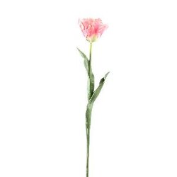 PTMD Tulip Flower Pink with leaves