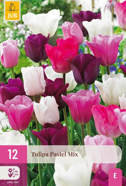 Tulipa pastel mix 12st - afbeelding 1