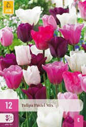 Tulipa pastel mix 12st - afbeelding 2