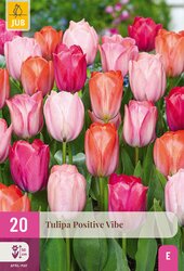 Tulipa positive vibe 20st - afbeelding 2