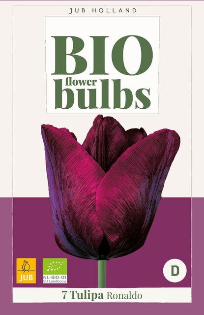 Tulipa ronaldo bio 7st - afbeelding 1