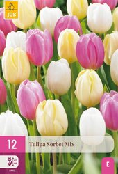 Tulipa sorbet mix 12st - afbeelding 1