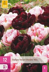 Tulipa sweet desire mix 12st - afbeelding 1