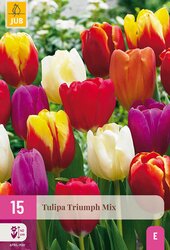 Tulipa triumph mix 15st - afbeelding 1