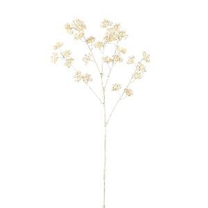 PTMD Twig Plant Cream eacalyptus seeds spray