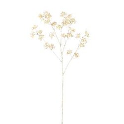 PTMD Twig Plant Cream eacalyptus seeds spray