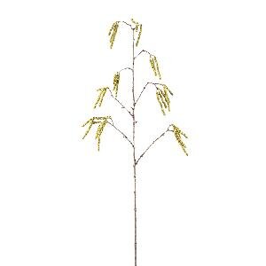 PTMD Twig Plant Green birch seed spray