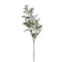 PTMD Twig Plant green pine spray