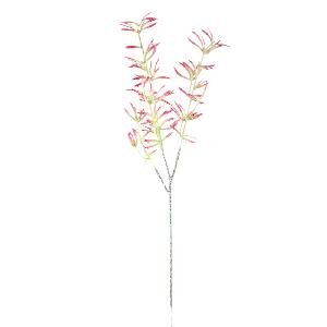 PTMD Twig Plant Pink anigozanthos spray