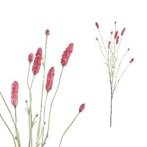 PTMD Twig Plant Pink burnet spray