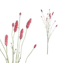 PTMD Twig Plant Pink burnet spray