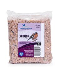 VBN Bosvruchtenvetblok