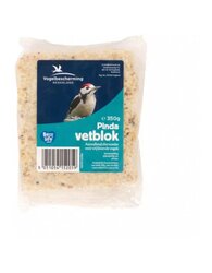 VBN Pindavetblok