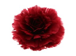 Veer rose clip d11h8cm rood
