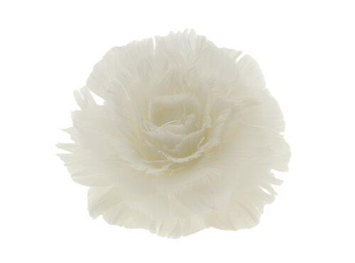 Veer rose clip d11h8cm wit