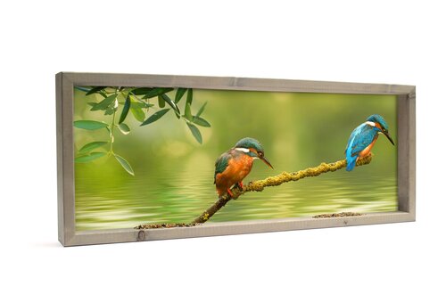 Vh 2 Ijsvogels Op Tak Xl 102X26Cm