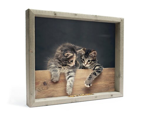 Vh 2 Katjes L 51X42Cm