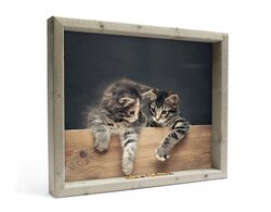 Vh 2 Katjes L 51X42Cm