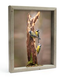 Vh 3 Pimpelmeesjes Op Stam L 41X51Cm