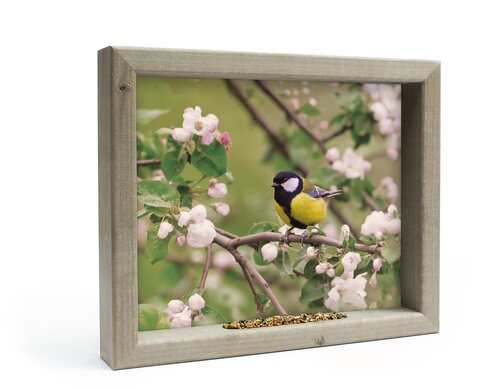 Vh Koolmees In Bloesem M 41X34Cm