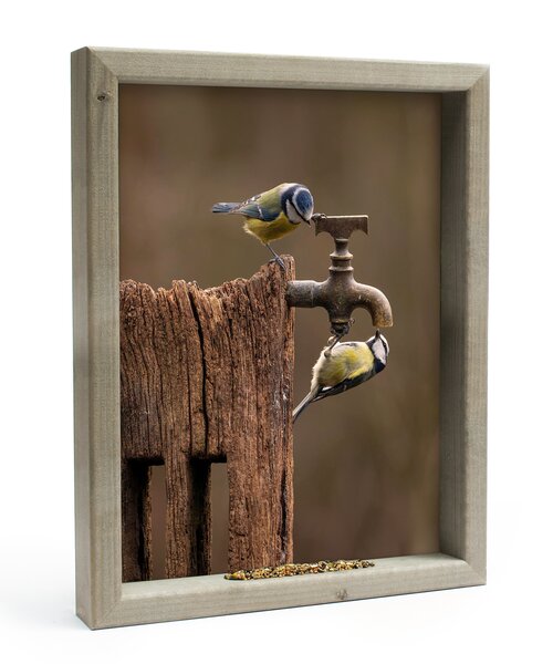 Vh Koolmeesjes Op Kraan L 51X41Cm