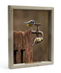 Vh Koolmeesjes Op Kraan L 51X41Cm