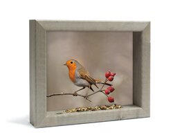 Vh Roodborst S 31X26Cm