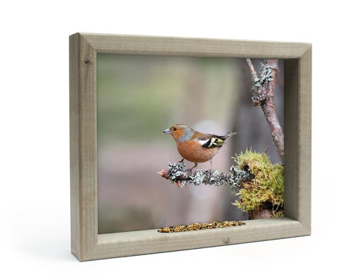 Vh Vink Op Mostak M 41X34Cm