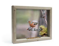 Vh Vink Op Mostak M 41X34Cm