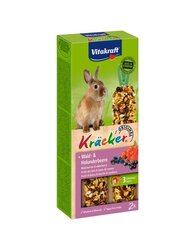 Vitakraft Kracker bosbes dwergkonijn 2in1