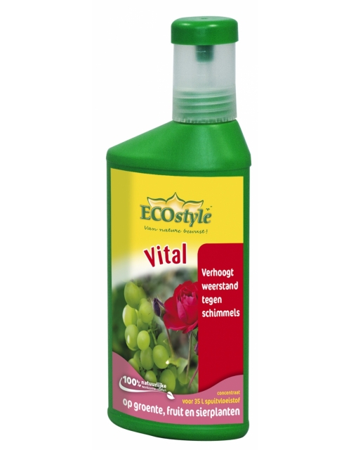 Ecostyle Vital concentraat 250 ml