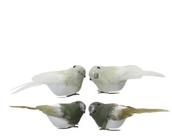 Decoris Vogel foam spangle op clip 2col ass