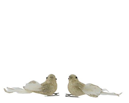Vogel foam l4b11h4cm chmpge/goud a2 - afbeelding 1