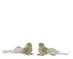 Vogel foam l4b11h4cm chmpge/goud a2 - afbeelding 1