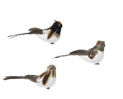 Decoris Vogel foam op clip 3ass