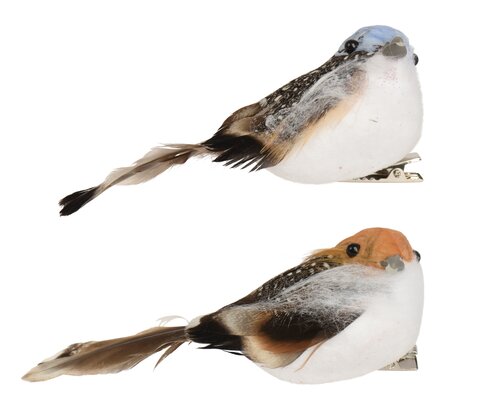 Decoris Vogel foam op clip 2col ass