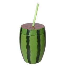 Waterfles plastic l11b11h14cm groen