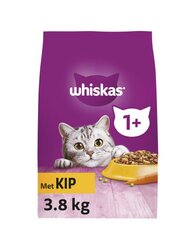 Whiskas Droog adult kip 3.8kg