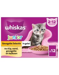Whiskas Pouch junior gelei gevogelte select