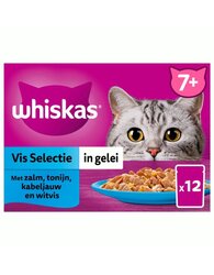 Whiskas Pouch senior gelei vis selectie 12x85g