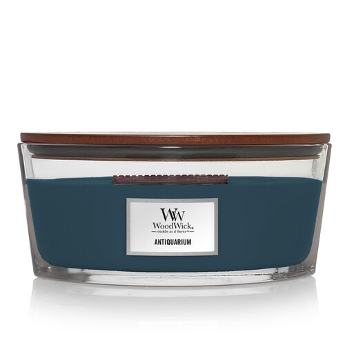 WW Antiquarium Ellipse Candle - afbeelding 1