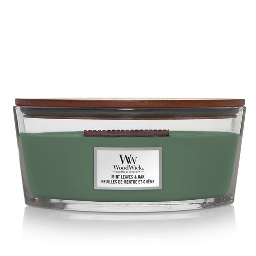WW Mint Leaves & Oak Ellipse Candle - afbeelding 1