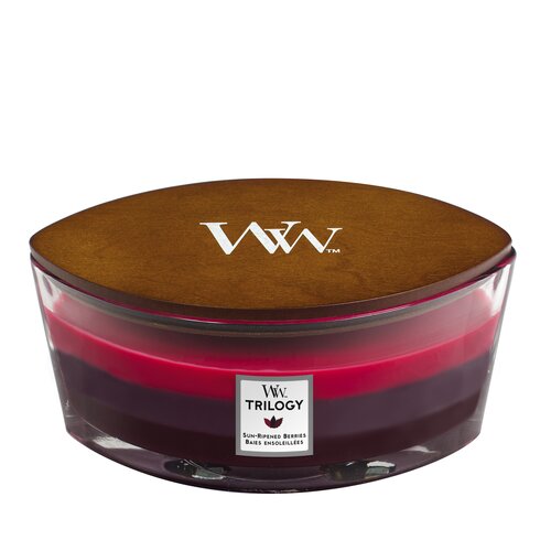 WW Trilogy Sun Ripened Berries Ellipse Candle