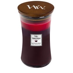 WW Trilogy Sun Ripened Berries Large Candle