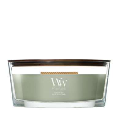 WW Verdant Fig Ellipse Candle