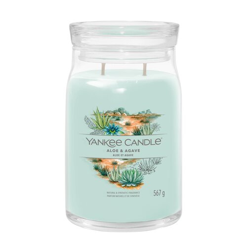 YC Aloe & Agave Signature Large Jar