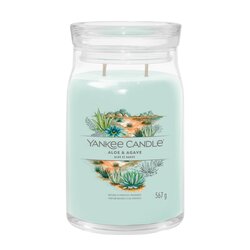 YC Aloe & Agave Signature Large Jar