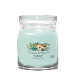 YC Aloe & Agave Signature Medium Jar