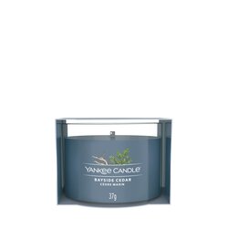YC Bayside Cedar Filled Votive