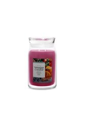 YC Jingle Mingle Large Jar